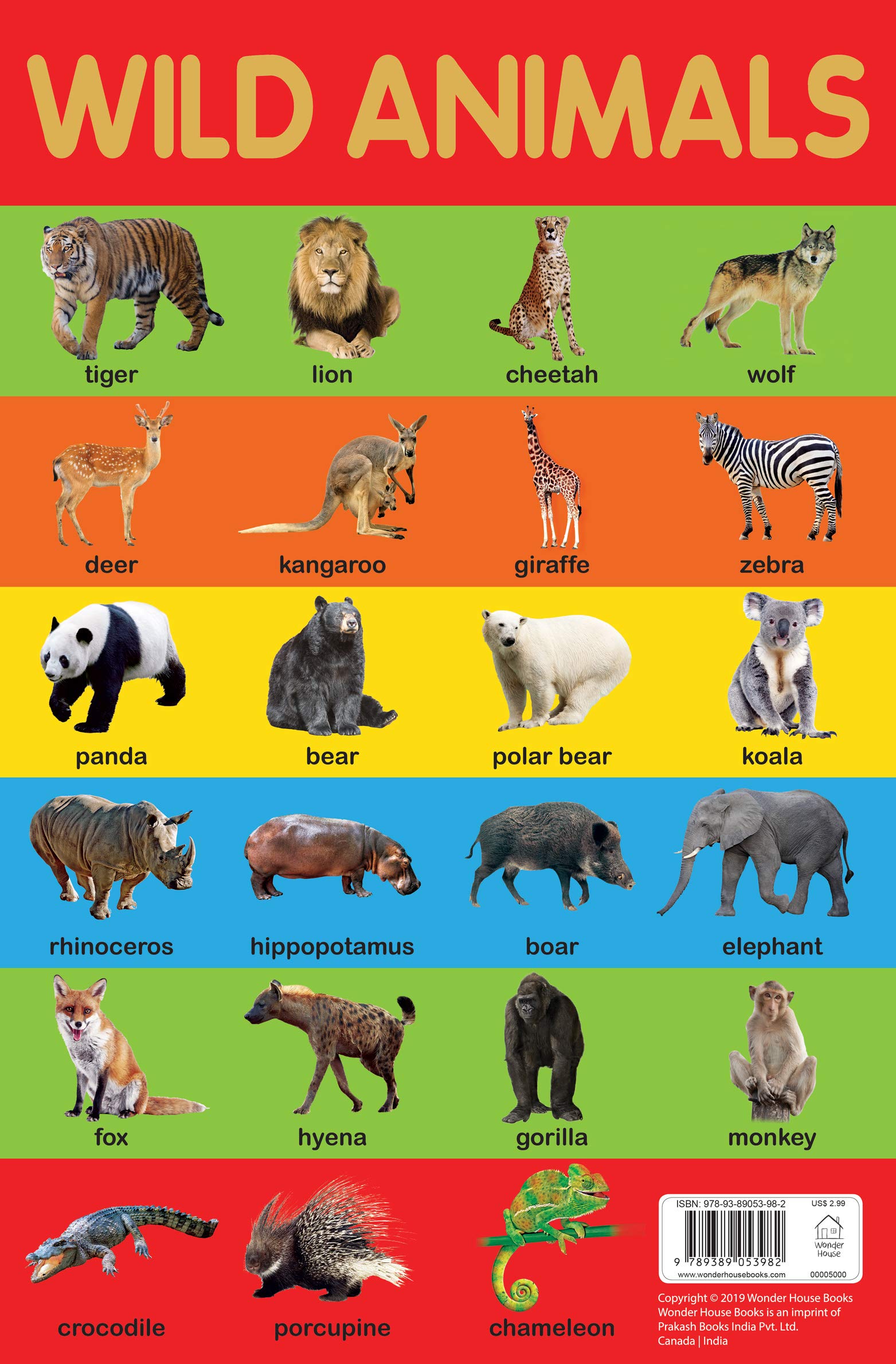animals
