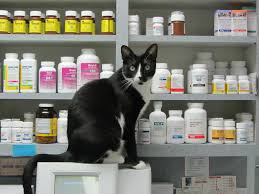 medicine animal