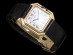 cartier_03