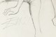 Otto Dix - original signed pencil drawing - authentic